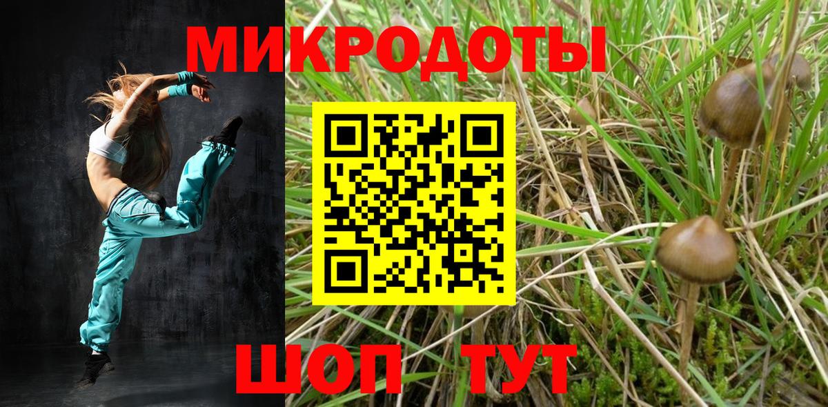 Псилоцибиновые грибы Magic Shrooms  купить наркоту  Удомля  Вход с VPN 